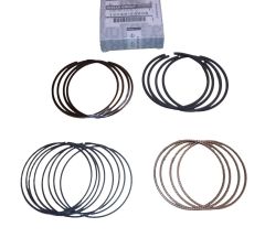 Kroužek Kompletní Originál 12033EN20B Renault Nissan