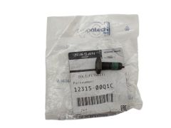 Šroub Originál 1231500Q1C 123156846R Renault Nissan