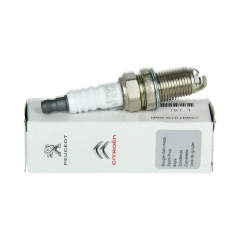 Zapalovací Svíčka Originál k Citroen Peugeot C2 206 C3 207 RFN58LZ3A 5960J9