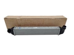 Chladič Inercoolera Originál Renault 144610001N