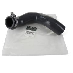 ren7701062251 ren7701062251