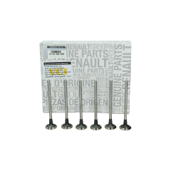 Ventil Kompletní Originál k 132020965R Renault