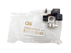 Svorkovnice Renault Clio 4 Captur 250825784R