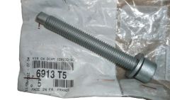 Šroub 10X150-80 Nový originál 6913.T5 6913T5 Citroen Peugeot
