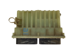 Blok Ovladačů 24410130 15396912 Opel GM Delphi 20634 Blok Ovladačů 24410130 15396912 Opel GM Delphi 20634