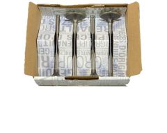 ren7701465088 ren7701465088