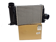 Chladič Inercoolera Nový originál Renault 144614EA1B