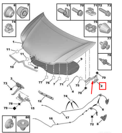 Panty Masky Pravý Nový originál 791279 7912.79 Citroen