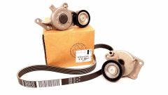 psa1616876980 psa1616876980