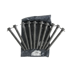 Šroub Kompletní Originál 110560195R Renault Nissan