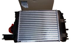 Chladič Inercoolera Nový originál 144967634R Renault Dacia