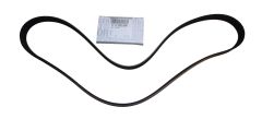 Řemen Alternátoru Originál 6PK 117202503R Renault