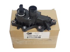 Čep Vody Originál Renault 110601903R