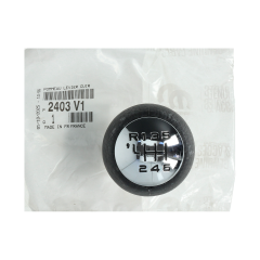 Hlavice Řídící Páky Originál k Citroen Peugeot C4 307 407 2403V1