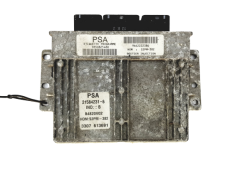 Blok Ovladačů 9650825480 9642222380 21584231-6 PSA Sagem 20211