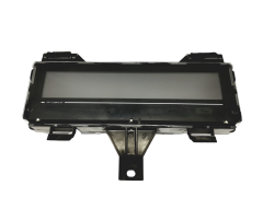 Počítačový Displej Renault Scenic 3 250450012R 50774