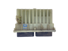 Blok Ovladačů 24410130 15396912 Opel GM Delphi 54391