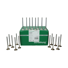 Ventil 058109601C 058109611E B18635 VW Audi Seat Skoda Borsehung