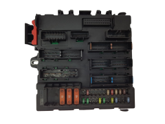 Modul 519164008 13205776 Opel GM 2503