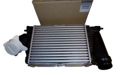 Chladič Inercoolera Originál 144963358R Renault
