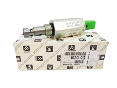 Elektroventil Originál Citroen Peugeot C5 C8 2.2  19209G