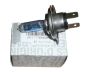 Žárovka H4 12V 60/55W Nový originál 267179842R Renault