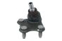 Kulový Kloub Svislého Čepu Pravý 6R0407366 B11339 VW Audi Seat Skoda Borsehung