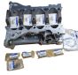 Blok Motoru Nový originál 2.0 16V 110107443R Renault