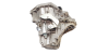 Převodovka TL4A001 TL4001 Renault Megane 2 1.5 DCi  7701700539 1019