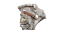 Převodovka 20TT01 C1 107 Aygo 1.0 12v 2222QE 2231W4 1032