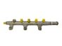 Vstřikovací Lišta - Rampa Se Vstřiky  8200023961 0445214025 Renault 2.2 2.5 DCI