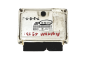 Blok Ovladačů 038906019NA 0281011822 VW Seat Bosch 20981