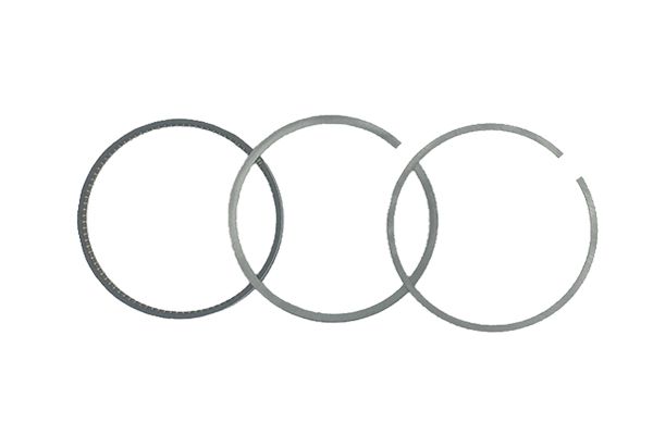 Pístních Kroužků Pro Audi 06E198151G B19049 Borsehung main product photo