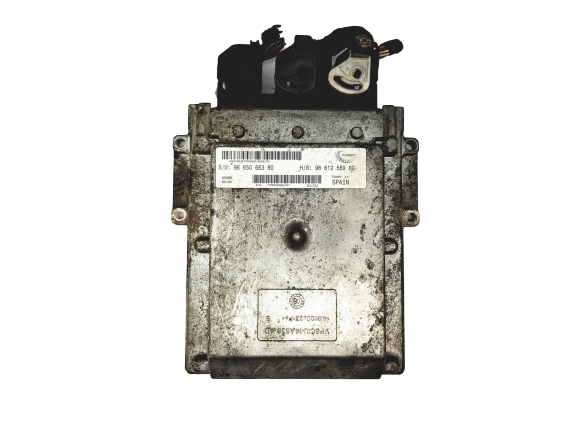 Blok Ovladačů 9665066380 9661256980 PSA Visteon main product photo
